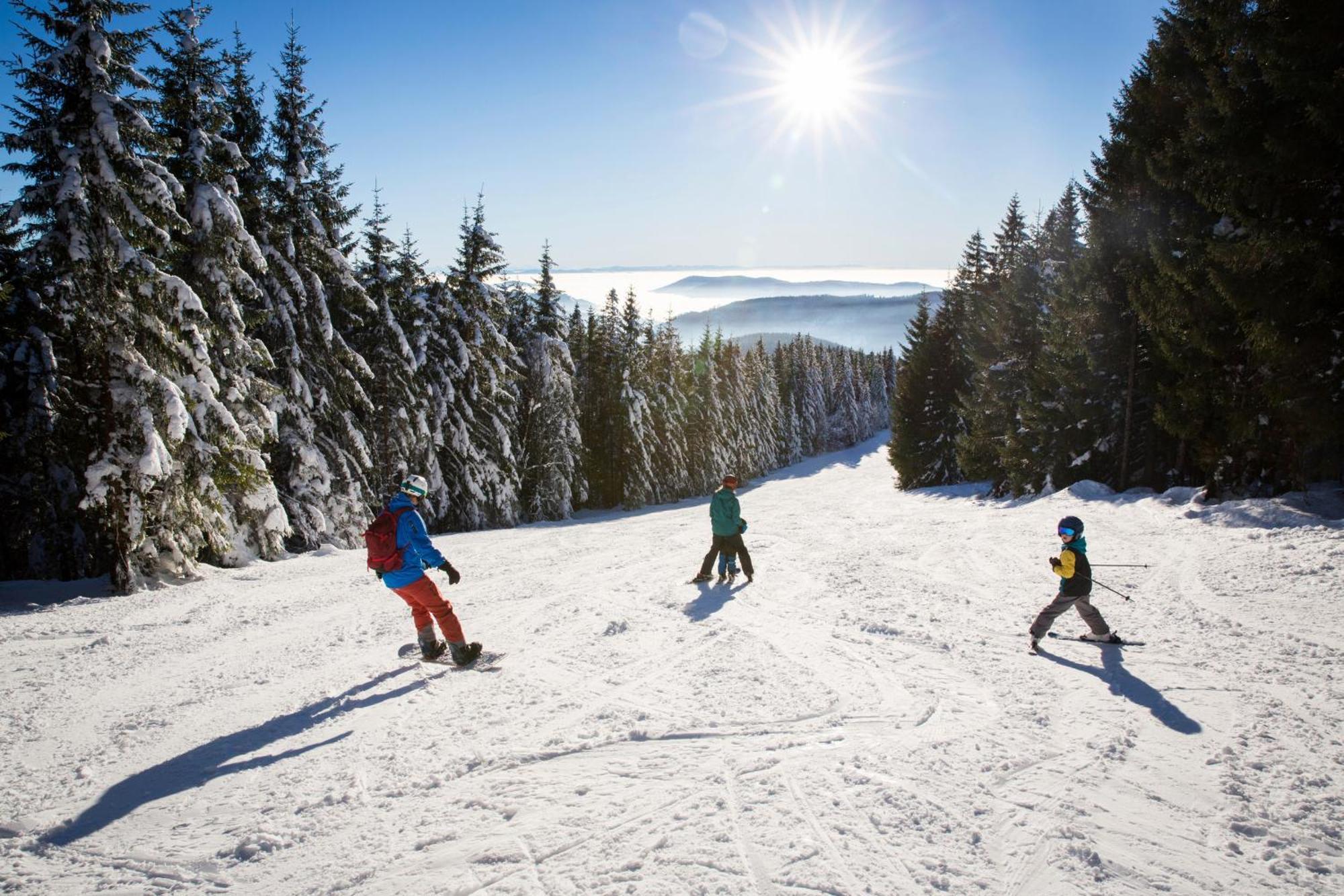 Haus Wiesenquelle - Fewo 14 "Timeout", Feldberg Rinken Eksteriør bilde